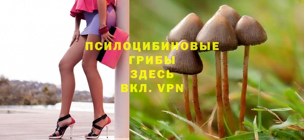 соль ск Новозыбков