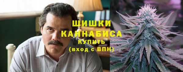 дурь Новодвинск