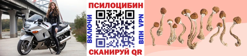 Галлюциногенные грибы Cubensis Наволоки